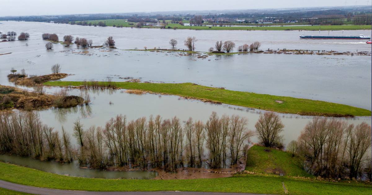 Rijn en Maas