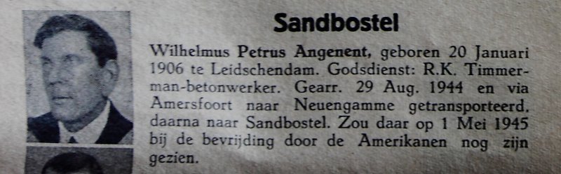 Wilhelmus Petrus Angenent