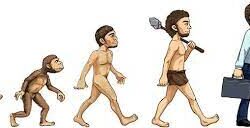 Evolutie