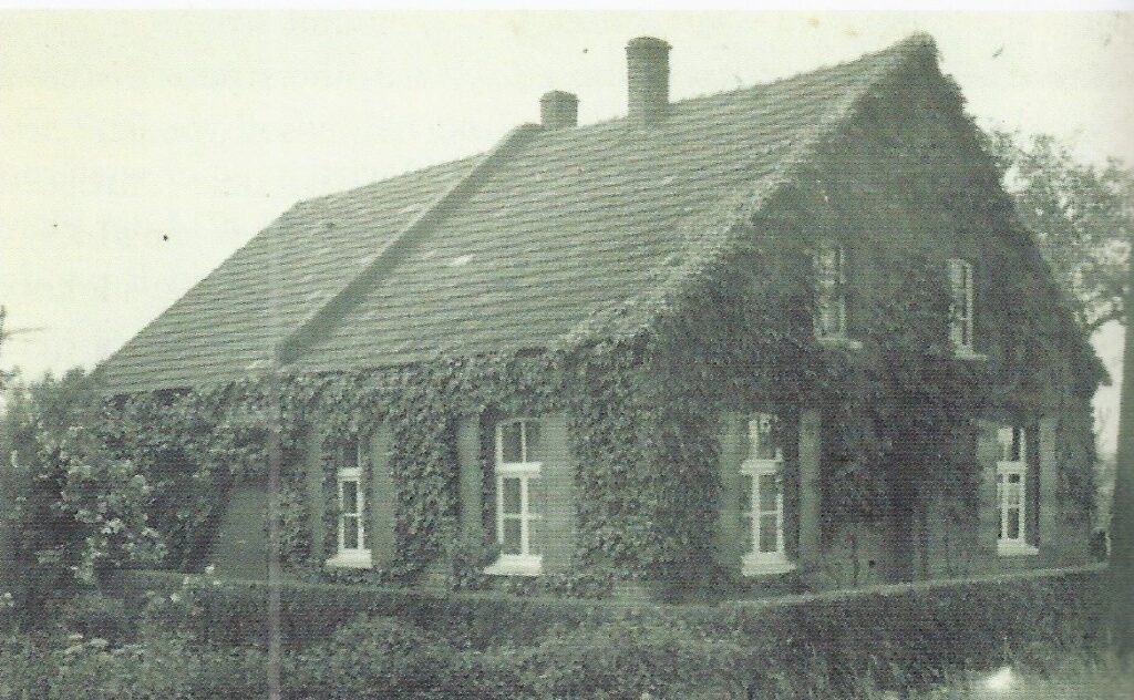 Haus Aengeneyndt Katstelle op de roos