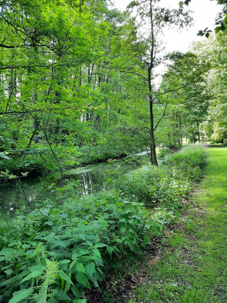 de niers