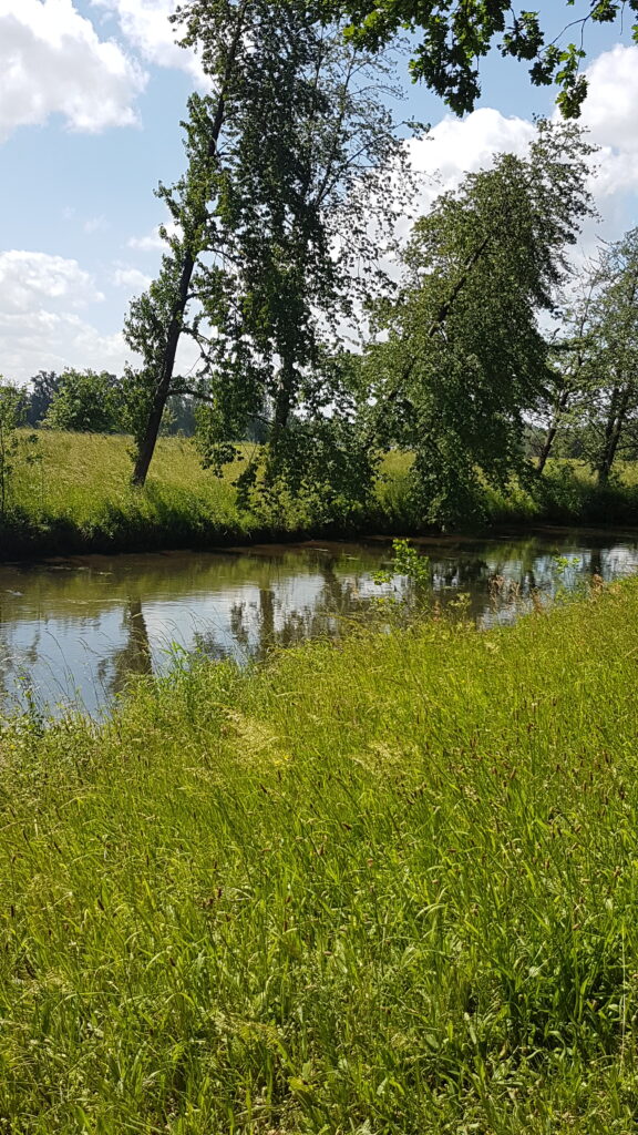 de niers