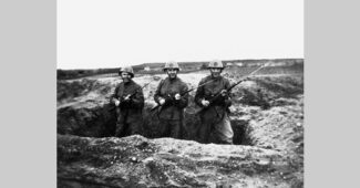 wilhelmus johannes angenent